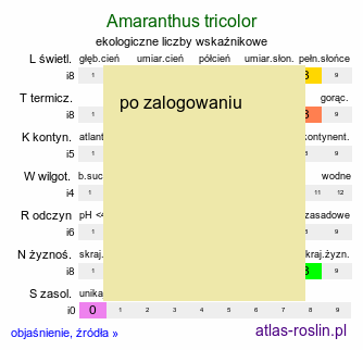 ekologiczne liczby wskaźnikowe Amaranthus tricolor (szarłat ciemny)