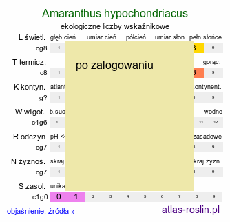 ekologiczne liczby wskaźnikowe Amaranthus hypochondriacus (szarłat posępny)