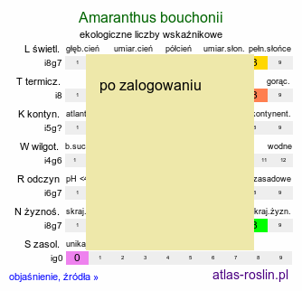 ekologiczne liczby wskaźnikowe Amaranthus bouchonii (szarłat Bouchona)