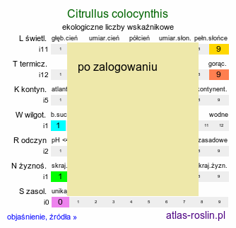 ekologiczne liczby wskaźnikowe Citrullus colocynthis (arbuz kolokwinta)
