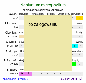 ekologiczne liczby wskaźnikowe Nasturtium microphyllum (rukiew drobnolistna)