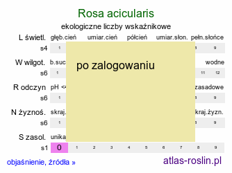 ekologiczne liczby wskaźnikowe Rosa acicularis (róża igiełkowata)