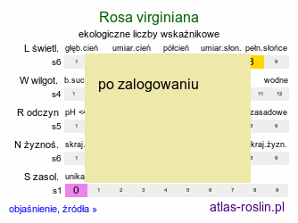ekologiczne liczby wskaźnikowe Rosa virginiana (róża wirgińska)