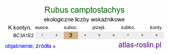 ekologiczne liczby wskaźnikowe Rubus camptostachys (jeżyna orzęsiona)