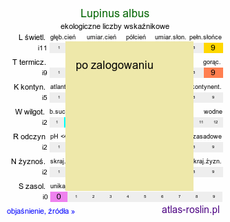 ekologiczne liczby wskaźnikowe Lupinus albus (łubin biały)