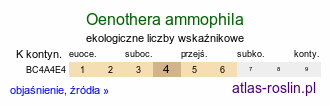ekologiczne liczby wskaźnikowe Oenothera ammophila (wiesiołek wydmowy)