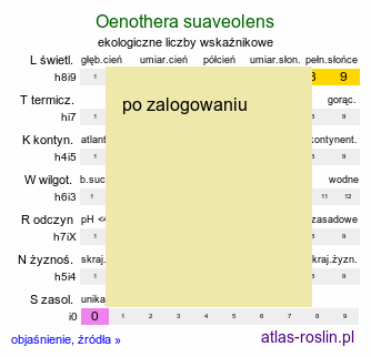 ekologiczne liczby wskaźnikowe Oenothera suaveolens (wiesiołek pachnący)