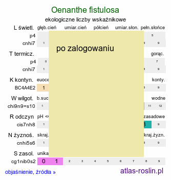 ekologiczne liczby wskaźnikowe Oenanthe fistulosa (kropidło piszczałkowate)