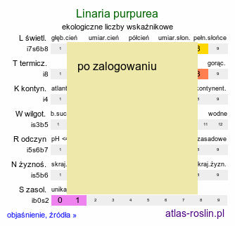 ekologiczne liczby wskaźnikowe Linaria purpurea (lnica purpurowa)