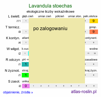 ekologiczne liczby wskaźnikowe Lavandula stoechas (lawenda francuska)