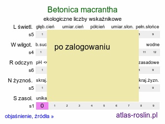 ekologiczne liczby wskaźnikowe Betonica macrantha (czyściec wielkokwiatowy)