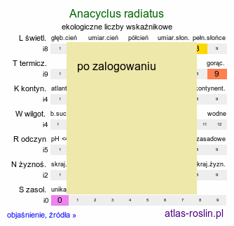 ekologiczne liczby wskaźnikowe Anacyclus radiatus (bertram promienisty)