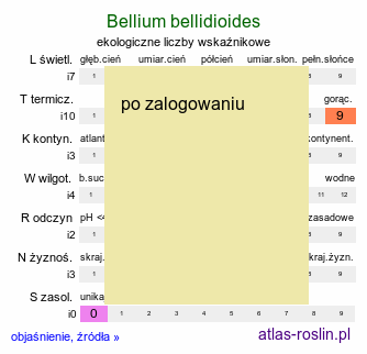 ekologiczne liczby wskaźnikowe Bellium bellidioides