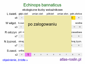 ekologiczne liczby wskaźnikowe Echinops bannaticus (przegorzan banacki)