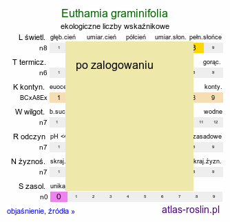 ekologiczne liczby wskaźnikowe Euthamia graminifolia (nawłoć wąskolistna)