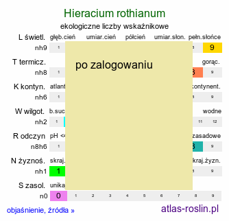 ekologiczne liczby wskaźnikowe Hieracium rothianum (jastrzębiec szczeciniasty)