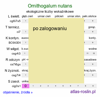 ekologiczne liczby wskaźnikowe Ornithogalum nutans (śniedek zwisły)