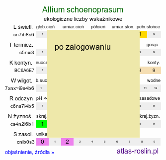ekologiczne liczby wskaźnikowe Allium schoenoprasum (czosnek szczypiorek)