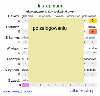 ekologiczne liczby wskaźnikowe Iris xiphium (irys hiszpański)