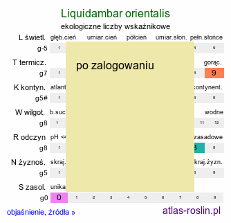 ekologiczne liczby wskaźnikowe Liquidambar orientalis (ambrowiec wschodni)