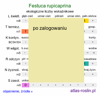ekologiczne liczby wskaźnikowe Festuca rupicaprina (kostrzewa kozia)