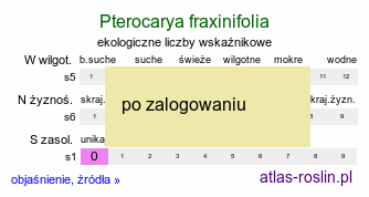 ekologiczne liczby wskaźnikowe Pterocarya fraxinifolia (skrzydłorzech kaukaski)