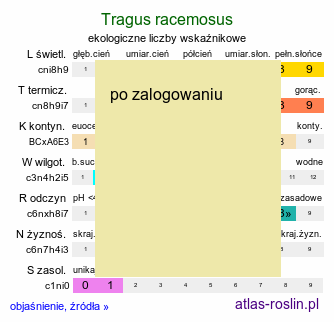ekologiczne liczby wskaźnikowe Tragus racemosus (tragus śródziemnomorski)