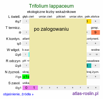 ekologiczne liczby wskaźnikowe Trifolium lappaceum (koniczyna łopianowata)