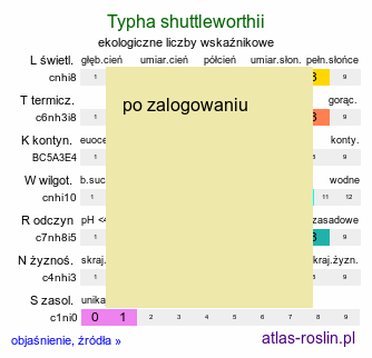 ekologiczne liczby wskaźnikowe Typha shuttleworthii (pałka Shuttlewortha)