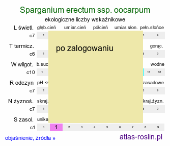 ekologiczne liczby wskaźnikowe Sparganium erectum ssp. oocarpum