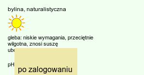 wymagania uprawowe Echinops exaltatus (przegorzan węgierski)
