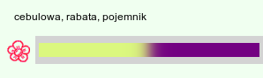wymagania uprawowe Eucomis bicolor (eukomis dwubarwny)