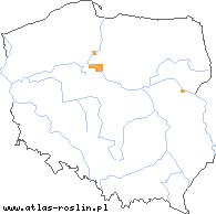 wystepowanie - Carex repens (turzyca poznańska)