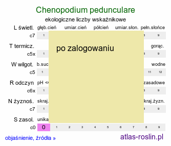 ekologiczne liczby wskaÅºnikowe Chenopodium pedunculare (komosa szypuÅ‚owa)