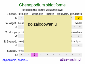 ekologiczne liczby wskaÅºnikowe Chenopodium striatiforme (komosa drobnolistna)