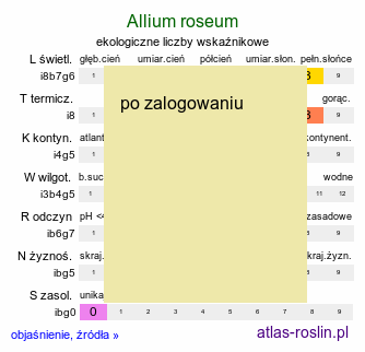 ekologiczne liczby wskaźnikowe Allium roseum (czosnek różowy)