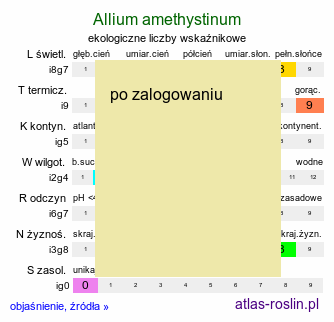 ekologiczne liczby wskaźnikowe Allium amethystinum
