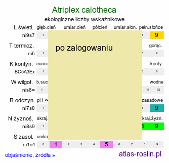ekologiczne liczby wskaźnikowe Atriplex calotheca (łoboda zdobna)