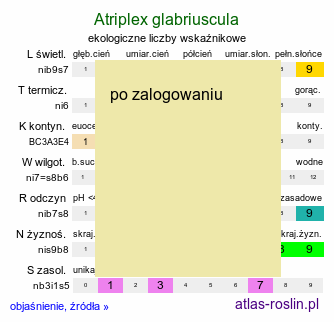 ekologiczne liczby wskaźnikowe Atriplex glabriuscula (łoboda nadmorska)