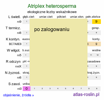 ekologiczne liczby wskaźnikowe Atriplex heterosperma (łoboda różnonasienna)