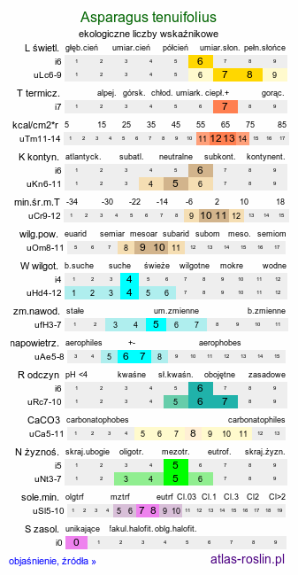 ekologiczne liczby wskaźnikowe Asparagus tenuifolius (szparag cienkolistny)