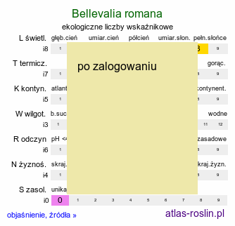ekologiczne liczby wskaźnikowe Bellevalia romana