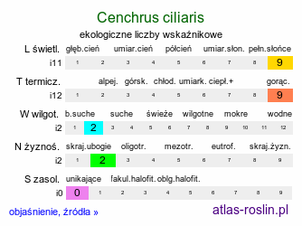 ekologiczne liczby wskaźnikowe Cenchrus ciliaris (kolczatek orzęsiony)