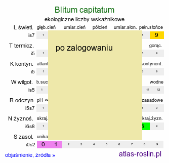 ekologiczne liczby wskaźnikowe Blitum capitatum (komosa główkowata)