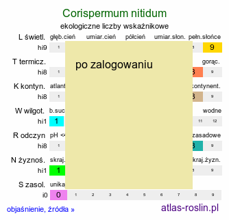 ekologiczne liczby wskaźnikowe Corispermum nitidum (wrzosowiec lśniący)
