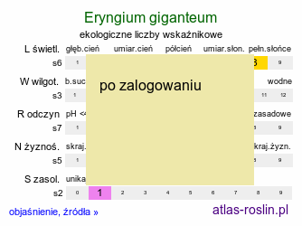 ekologiczne liczby wskaÅºnikowe Eryngium giganteum (mikoÅ‚ajek olbrzymi)