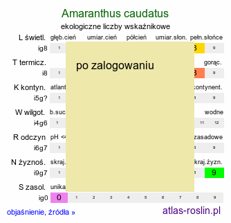 ekologiczne liczby wskaźnikowe Amaranthus caudatus (szarłat zwisły)