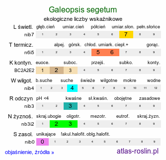 ekologiczne liczby wskaźnikowe Galeopsis segetum (poziewnik piaskowy)