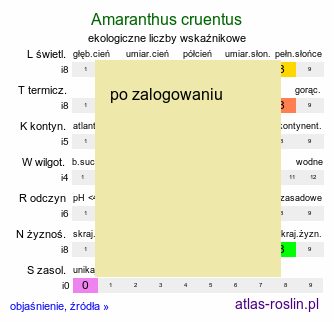 ekologiczne liczby wskaźnikowe Amaranthus cruentus (szarłat wyniosły)