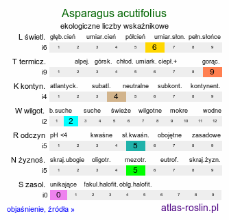 ekologiczne liczby wskaźnikowe Asparagus acutifolius (szparag ostrolistny)